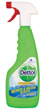 Dettol Anti-Bacterial Mould and Mildew Remover