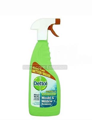 Dettol Anti-Bacterial Mould and Mildew Remover