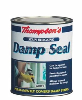 Thompsons Stain Blocking Damp Seal